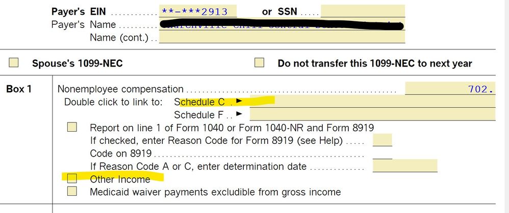 1099-NEC Issue.jpg