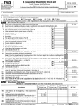 Form 7203 (pg 1).png