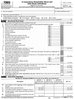 Form 7203 (pg 1).png