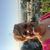 Arlise