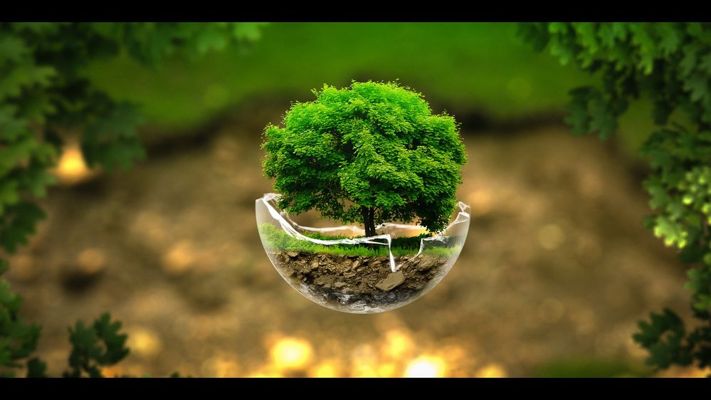 3D-Cool-Plant-Desktop-Background-HD.jpg