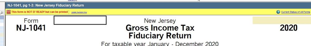 2-16-21 NJ FORM 1041.JPG