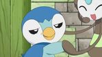 piplup smirk.jpg