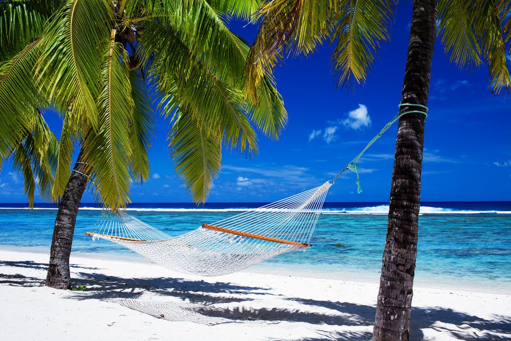 tropical beach hammock.jpg