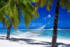 tropical beach hammock.jpg