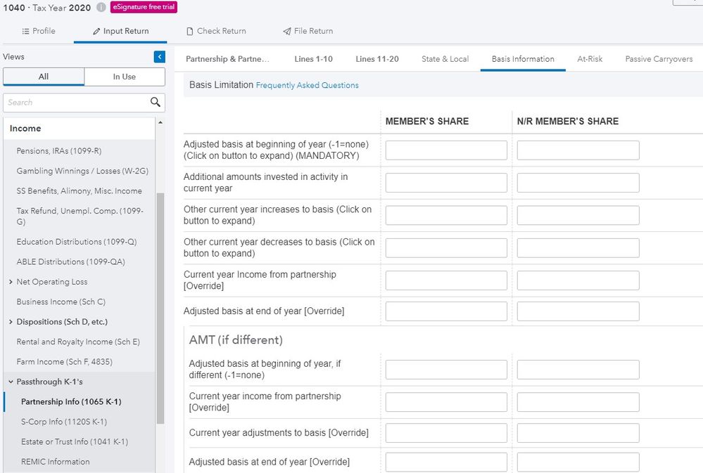 proconnect tax income partnership info (1065 K-1)  Basis Information.jpg