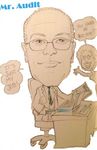 Mr. Audit 3.jpg