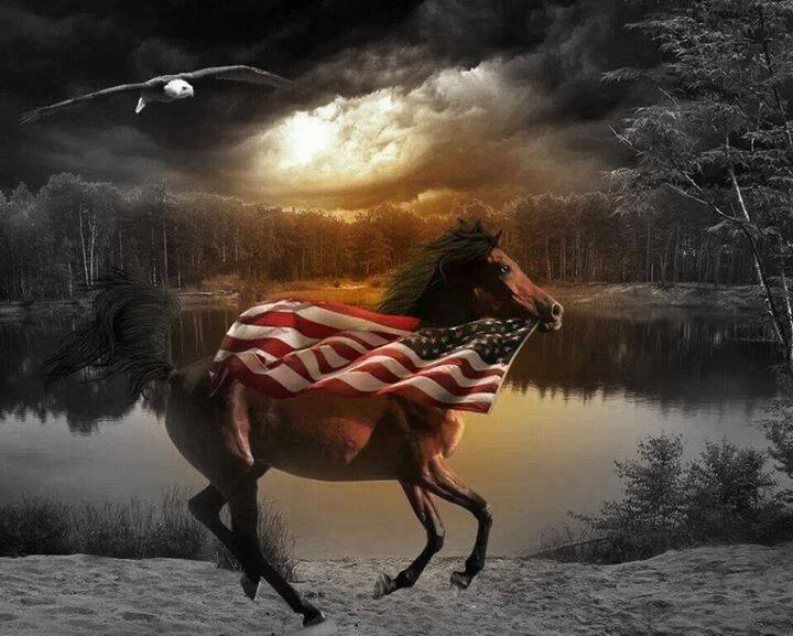 Horse w.American Flag.png