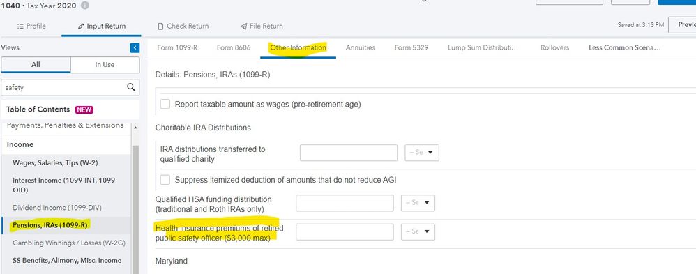 Public Safety Officer.jpg