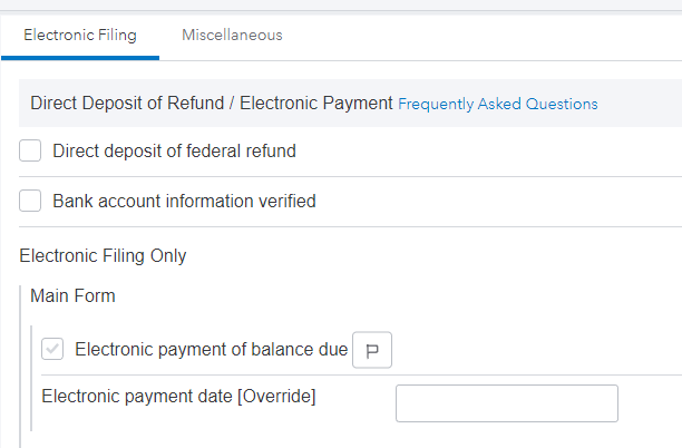 E-Filing Electronic Payment.png