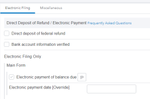 E-Filing Electronic Payment.png