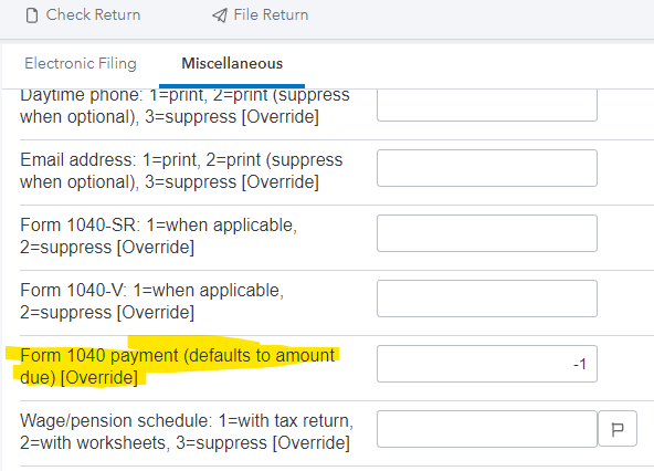 Form 1040 payment.png