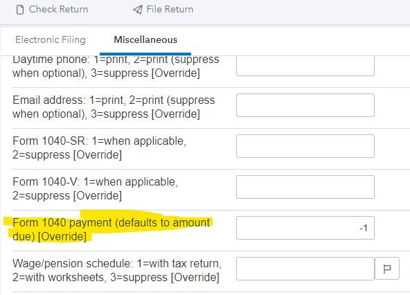 Form 1040 payment.jpg