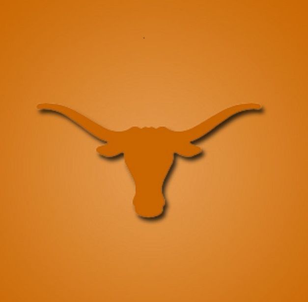 longhorn - square.jpg