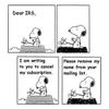 snoopy-irs.jpg