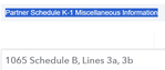 Partner Schedule K-1 Miscellaneous Information.PNG
