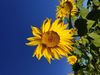 20170920_083738.jpg