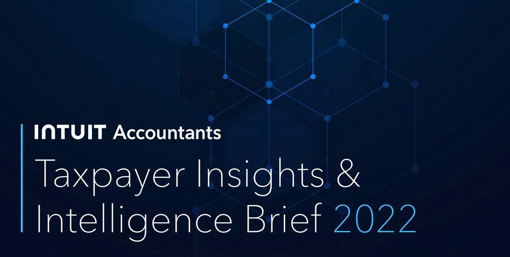 Taxpayer_Insights2022.jpg