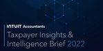 Taxpayer_Insights2022.jpg