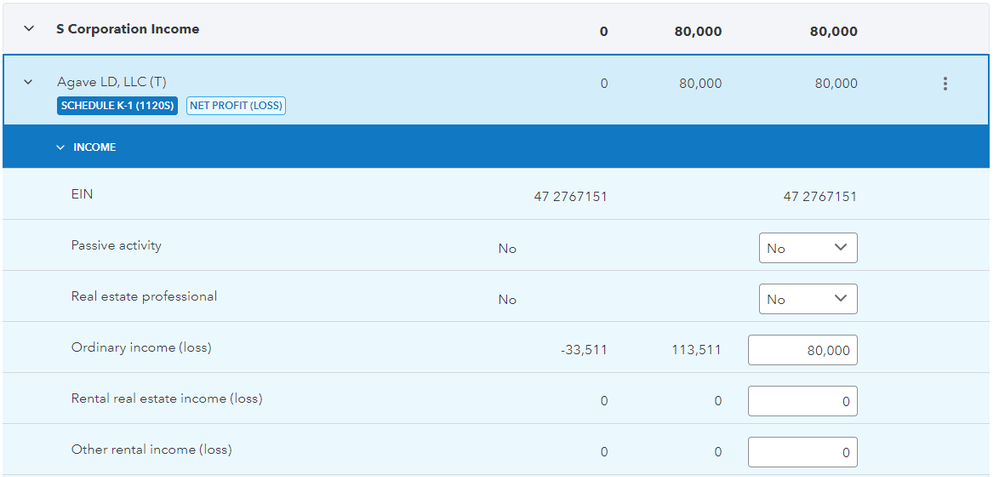 Tax Advisor - Basis Loss Limitation Issues.png