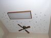 Ceiling-medium.jpg