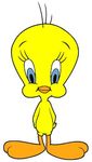 tweety.jpg