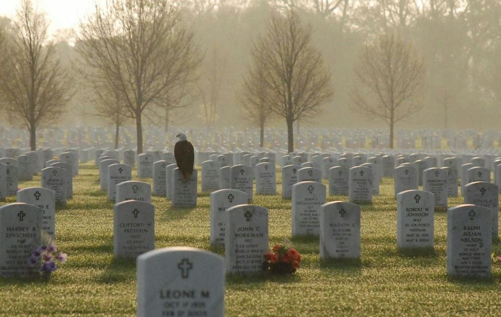 Eagle fort snelling.jpg