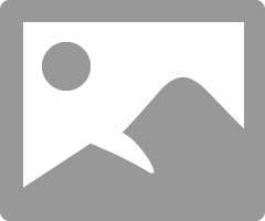 2019 form 4835.png